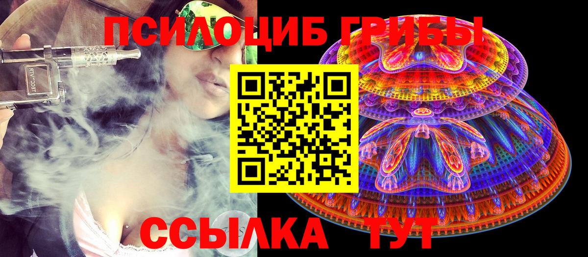 Псилоцибиновые грибы Cubensis Первоуральск