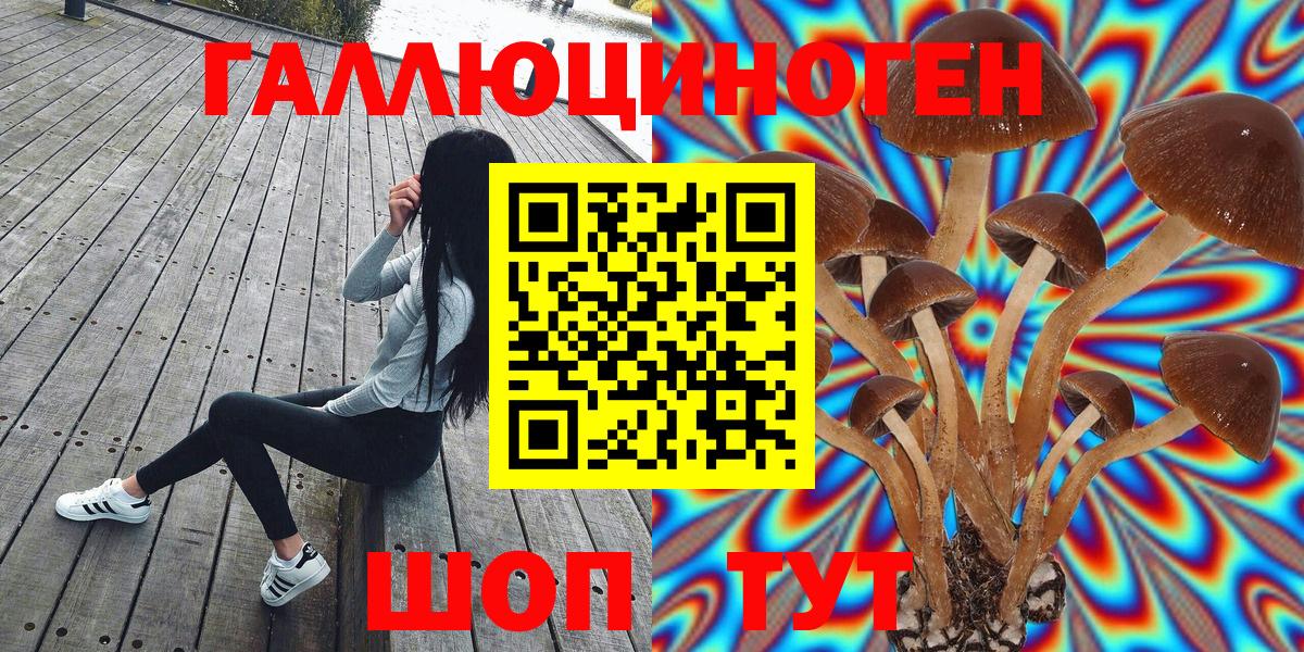 Галлюциногенные грибы прущие грибы  Вход с VPN  Первоуральск 